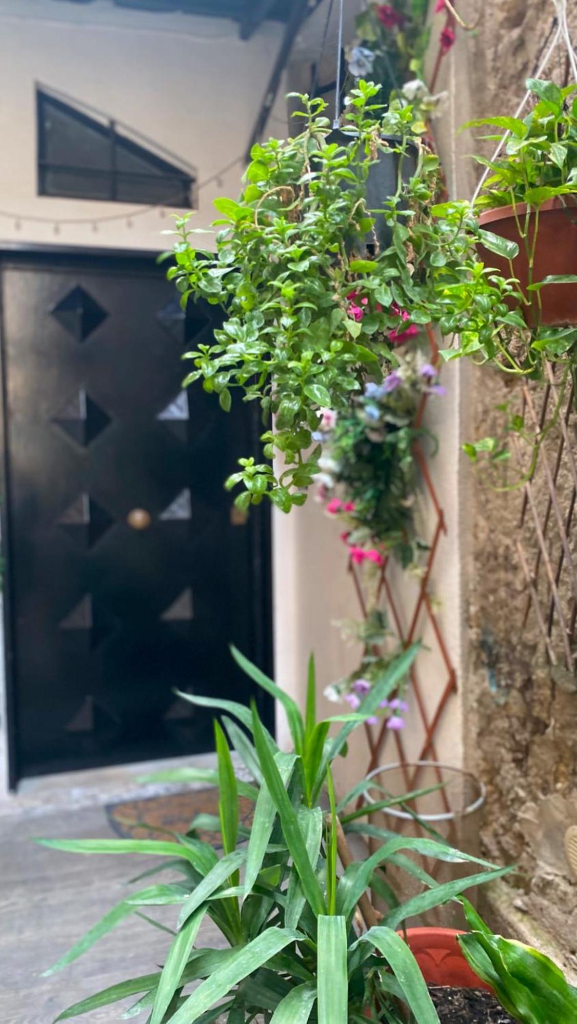 Il Vicoletto Hotel Naples Exterior photo